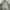Under Armour Vintage Hoody Pria silver photo 1