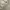 Carhartt Vintage Streetwear Hoody Pria gray photo 2