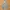 Carhartt Streetwear Casual Hoody Pria gray photo 1