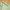 Carhartt Streetwear Casual Hoody Pria green photo 4