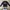 Dickies Casual Sweatshirt Pria black photo 1