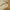 Carhartt Streetwear Casual Hoody Pria white photo 4