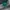Indie Jumper Pria Green