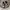 Nike Streetwear Sneakers Pria white black photo 1