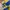 Hangten Vintage Polo shirt Pria blue yellow photo 4