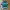 Beanpole Vintage Polo Shirt Pria Green Black