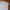 ZARA Vintage Y2K Polo shirt Pria white photo 2