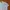 Polo Ralph Lauren Vintage Y2K Polo shirt Pria white photo 2