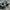 Adidas Indie Casual Sneakers Pria white green photo 5