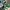 Adidas Indie Casual Sneakers Pria white green photo 2