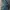 Carhartt Streetwear Skater Jeans Pria Blue