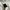 HUF Streetwear Skater T-shirt Pria white photo 4