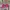 Casual Casual dress Wanita pink photo 4