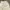 Y2K Gorpcore Casual pants Pria cream photo 5