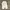 Y2K Gorpcore Casual pants Pria cream photo 4
