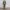 Y2K Casual Casual pants Pria green photo 3