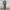 Y2K Casual Casual Pants Pria Green
