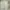 Y2K Casual Casual pants Pria green photo 5