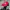Vintage Streetwear Hat Pria red black photo 1