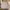 H&M Luxury Casual Sweatshirt Pria Cream