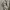 Uniqlo Streetwear Casual Hoody Kids silver photo 3