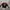 Pancoat Luxury Sweatshirt Pria red photo 2