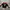 Pancoat Luxury Sweatshirt Pria Red