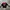 Pancoat Luxury Sweatshirt Pria red photo 1