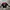 Pancoat Luxury Sweatshirt Pria Red