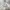 Polo Ralph Lauren Luxury Hoody Pria silver photo 5