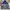 New Balance Streetwear Y2K Windbreaker Pria Multicolor