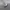 New Balance Casual Sneakers Pria white gray photo 2