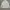The North Face Sportswear Casual Fleece Pria multicolor photo 6