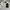 The North Face Sportswear Casual Fleece Pria multicolor photo 2