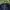 Zoo York Streetwear Y2K Hat Pria navy cream photo 6