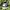 Zoo York Streetwear Y2K Hat Pria navy cream photo 7