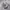 New Balance Casual Sneakers Wanita gray photo 2