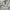 Eddie Bauer Vintage Casual Casual shirt Pria white black photo 2