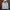 Polo Ralph Lauren Casual Hoody Pria white photo 1