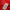 Adidas Sportswear Jersey Pria red photo 4