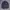 Polo Ralph Lauren Vintage Casual Polo shirt Pria navy photo 2