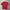 Nike Sportswear Casual Polo shirt Pria red photo 2