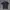 Maison Kitsuné Streetwear Casual Polo shirt Pria navy photo 1