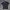 Maison Kitsuné Streetwear Casual Polo Shirt Pria Navy