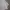 Sportswear Polo shirt Pria white gray photo 3