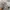 Vintage Casual Jumper Pria gray photo 4