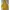 Black Diamond Gorpcore Sportswear Windbreaker Pria gold yellow photo 1