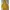 Black Diamond Gorpcore Sportswear Windbreaker Pria Gold Yellow