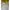 Black Diamond Gorpcore Sportswear Windbreaker Pria gold yellow photo 2