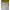 Black Diamond Gorpcore Sportswear Windbreaker Pria Gold Yellow